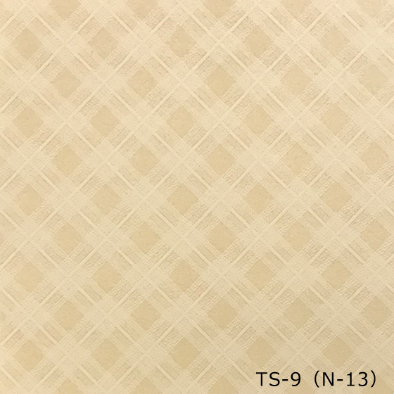 TS-9（N-13）