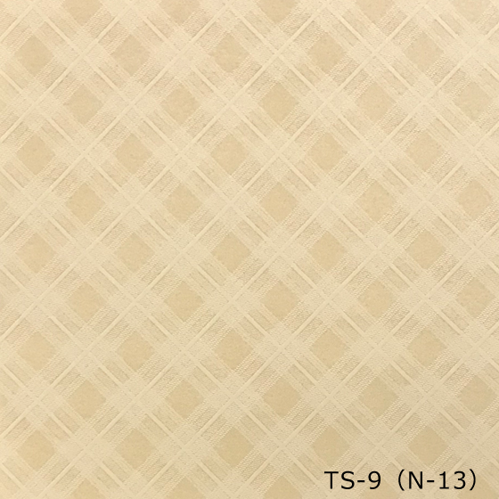 TS-9（N-13）