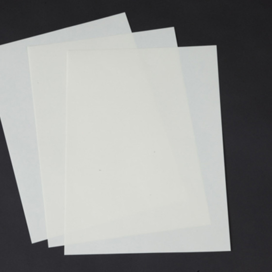 保存額装 AF Protect (AF プロテクト)