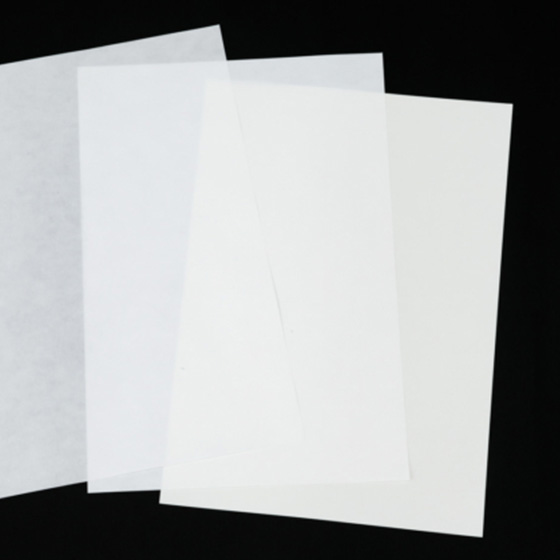 保存額装 Pure Guard (ピュア ガード)